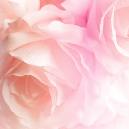 massage la vie en rose skinetsens